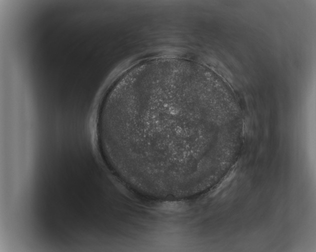 X0000102290101200808221405