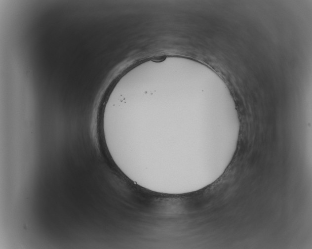 X0000102290104200808221405