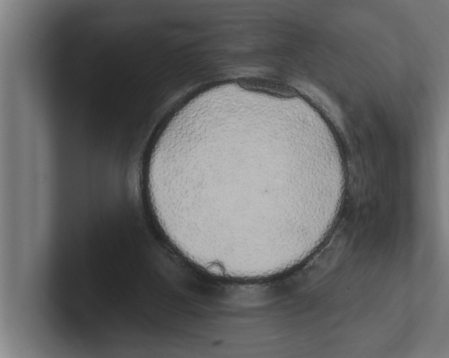 X0000102290107200808221405