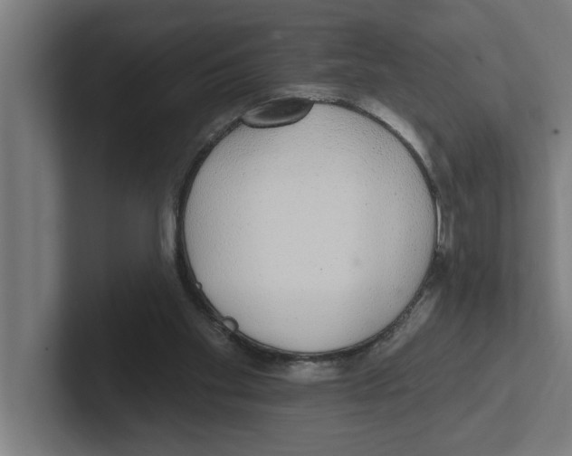 X0000102290109200808221405