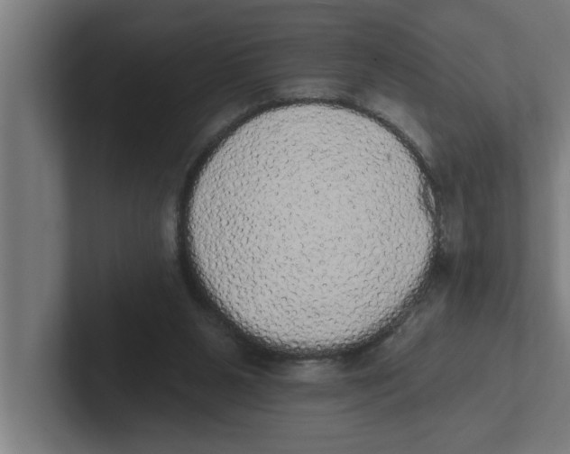 X0000102290111200808221405