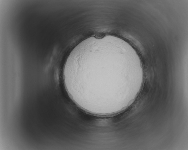 X0000102290115200808221405