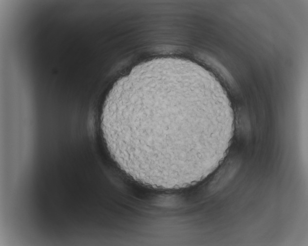 X0000102290119200808221405