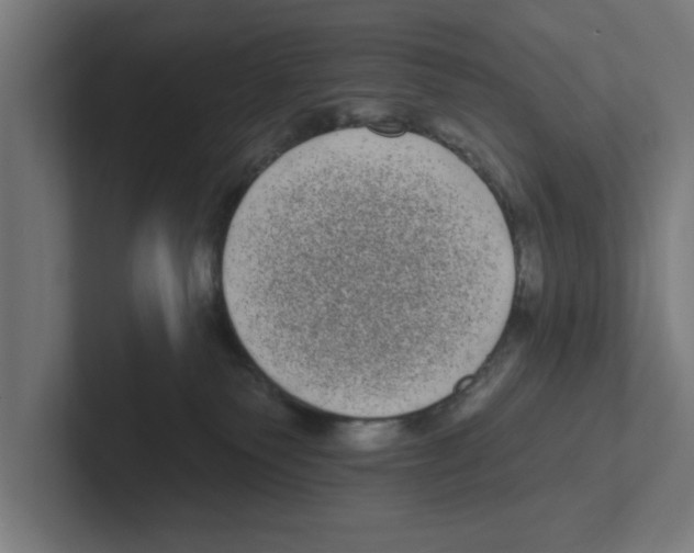 X0000102290135200808221405