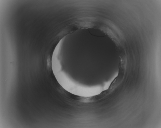 X0000102290143200808221405