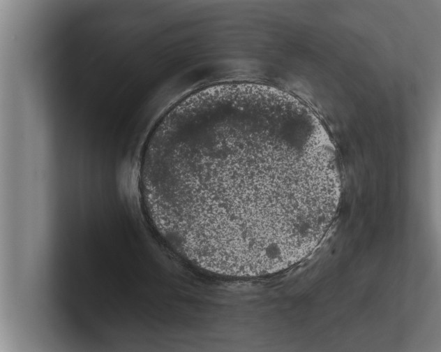 X0000102290146200808221404