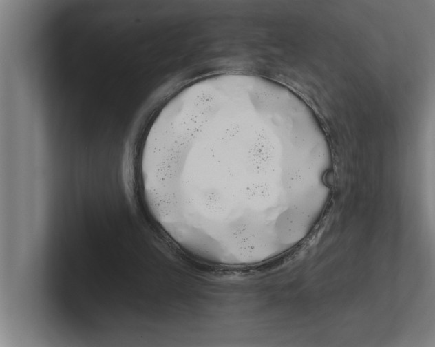 X0000102290149200808221404