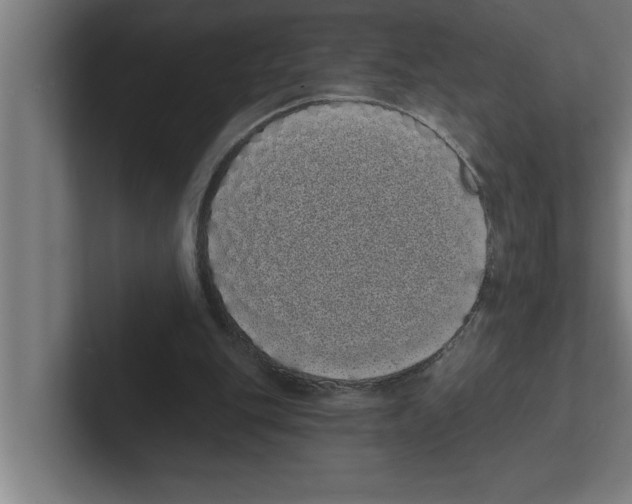 X0000102290151200808221404