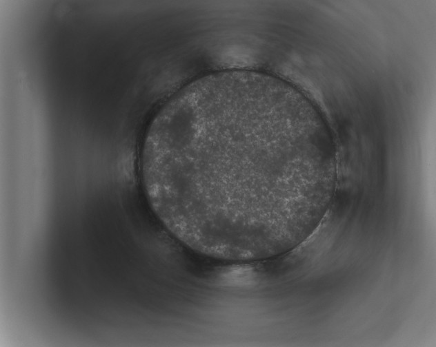 X0000102290162200808221404