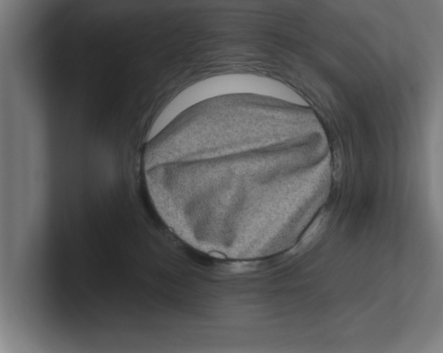 X0000102290184200808221404