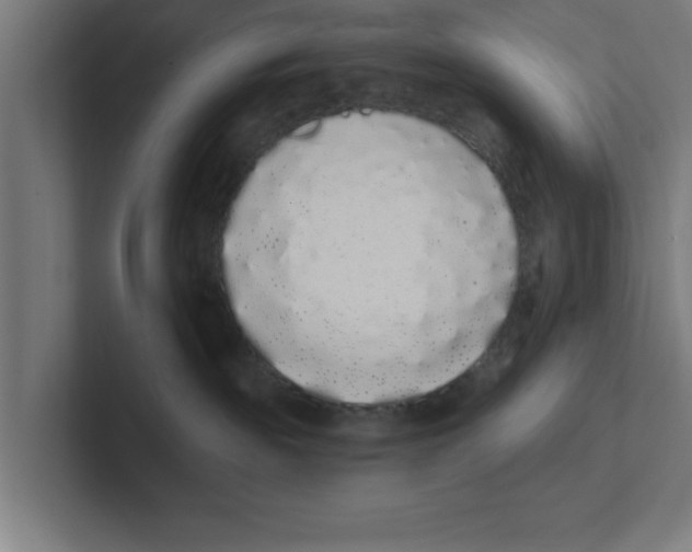 X0000102290189200808221405