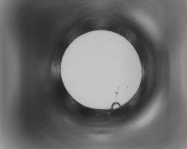 X0000102290190200808221405