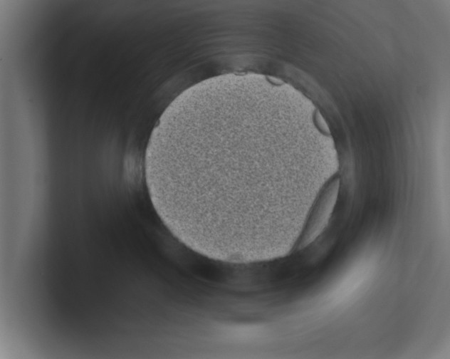 X0000102290191200808221405