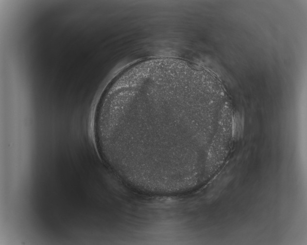 X0000102290195200808221404