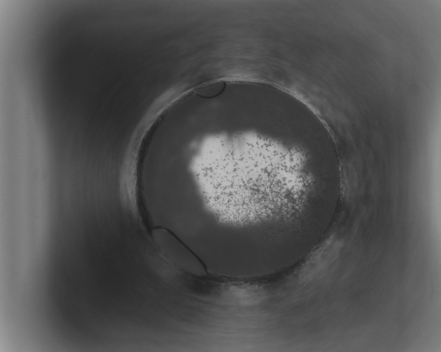 X0000102290199200808221404