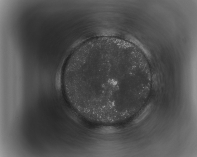 X0000102290203200808221404