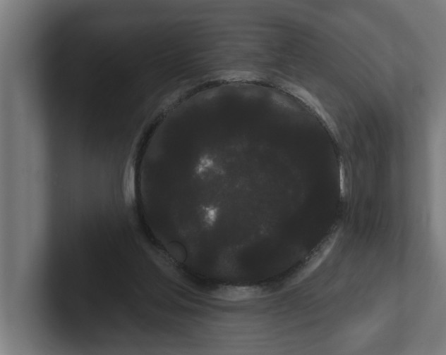 X0000102290205200808221404