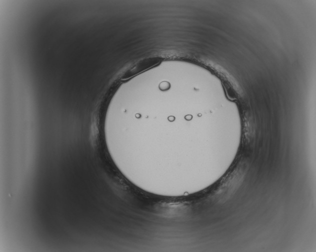 X0000102290208200808221404