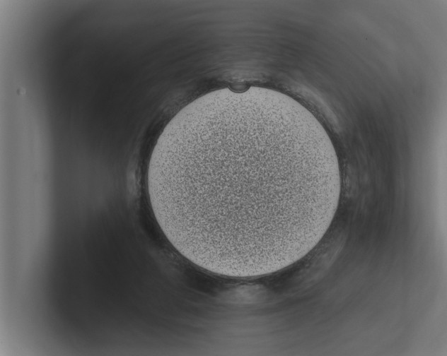 X0000102290210200808221404