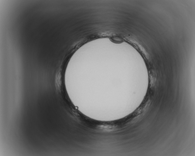 X0000102290211200808221404