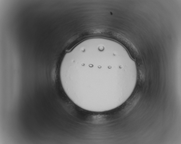 X0000102290216200808221404