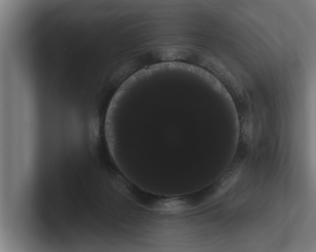 X0000102290219200808221404