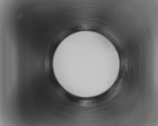 X0000102290220200808221404