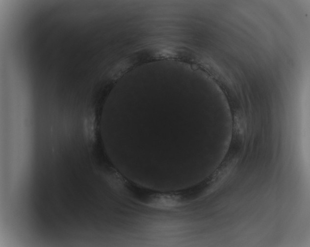 X0000102290223200808221404