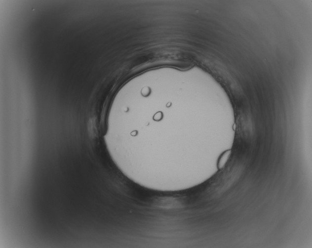 X0000102290224200808221404