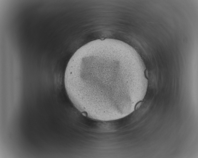 X0000102290230200808221403