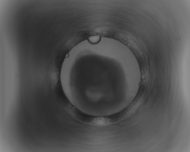 X0000102290231200808221403