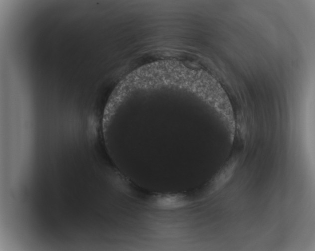 X0000102290235200808221403