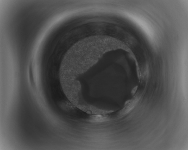 X0000102290239200808221403