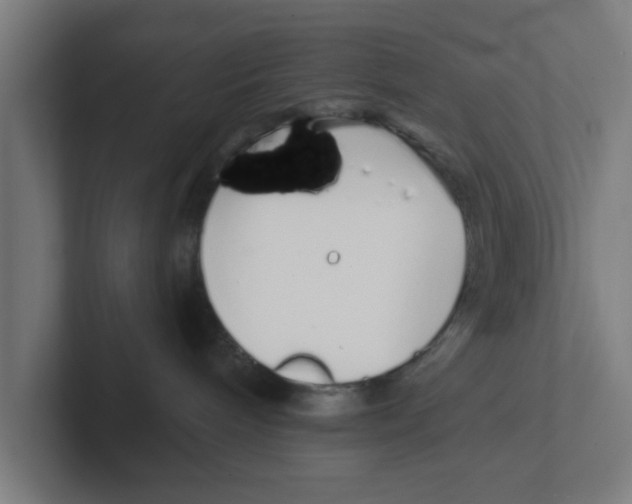 X0000102290240200808221403