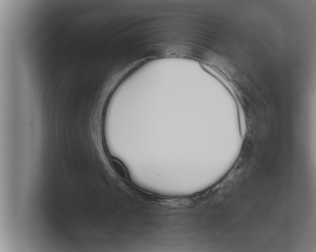 X0000102290241200808221403