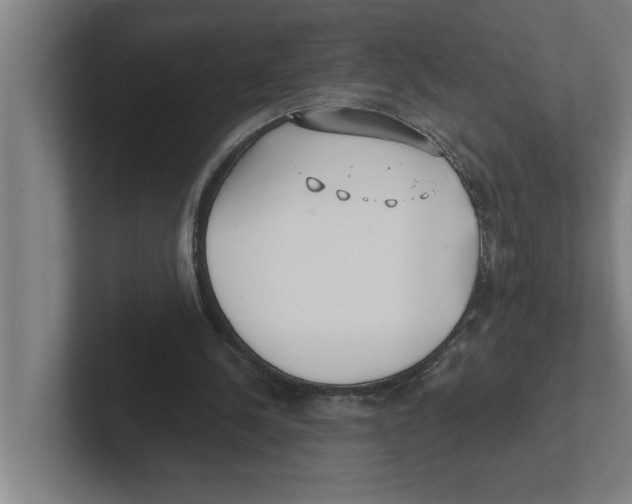 X0000102290244200808221403