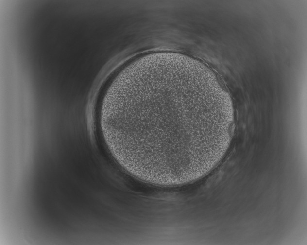 X0000102290247200808221403