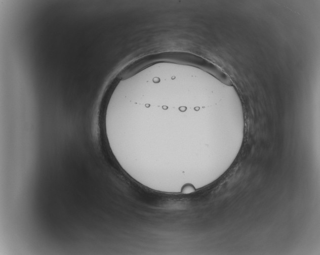 X0000102290248200808221403