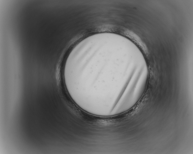 X0000102290250200808221403