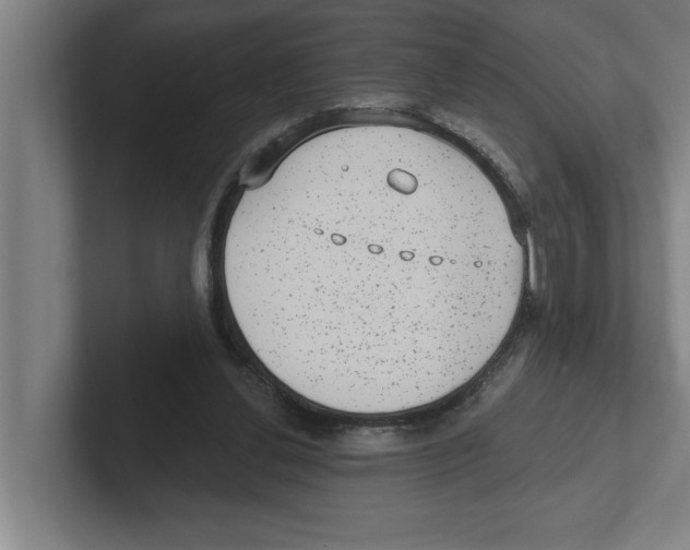 X0000102290252200808221403