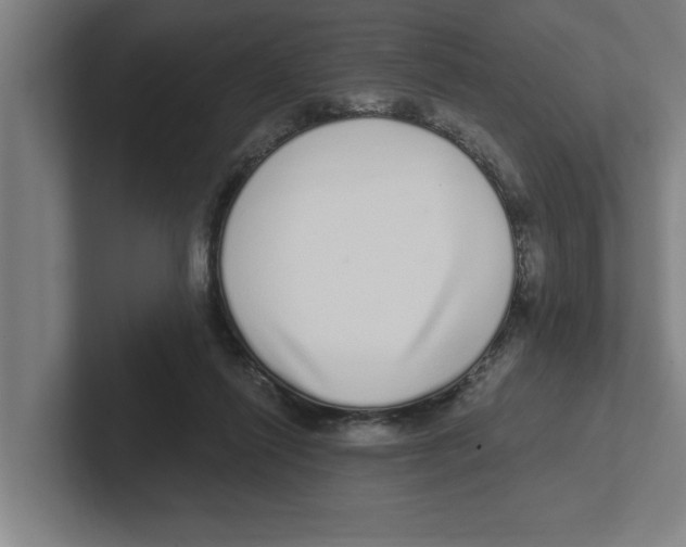 X0000102290262200808221403