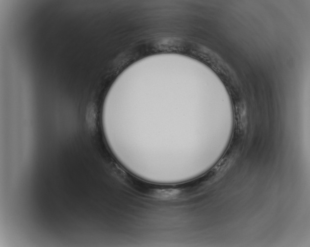 X0000102290266200808221403