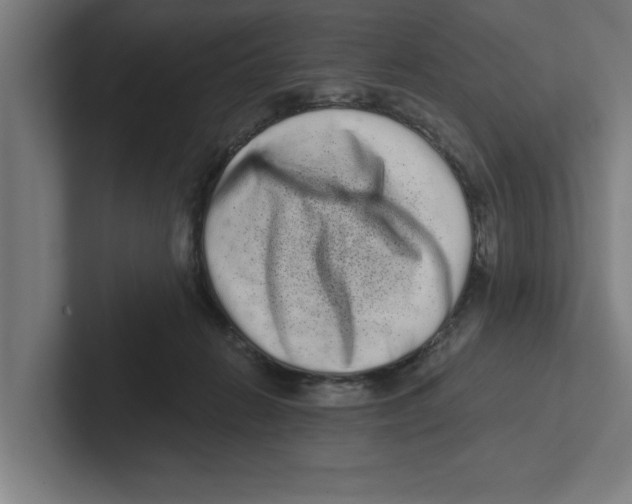 X0000102290270200808221403