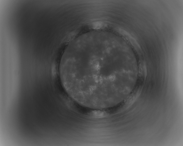 X0000102290272200808221403