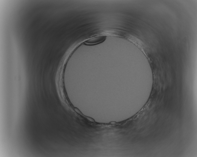 X0000102290289200808221403