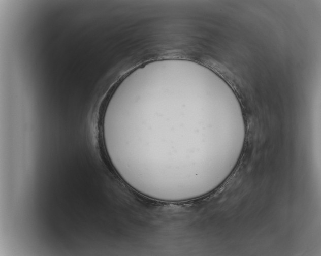 X0000102290290200808221403