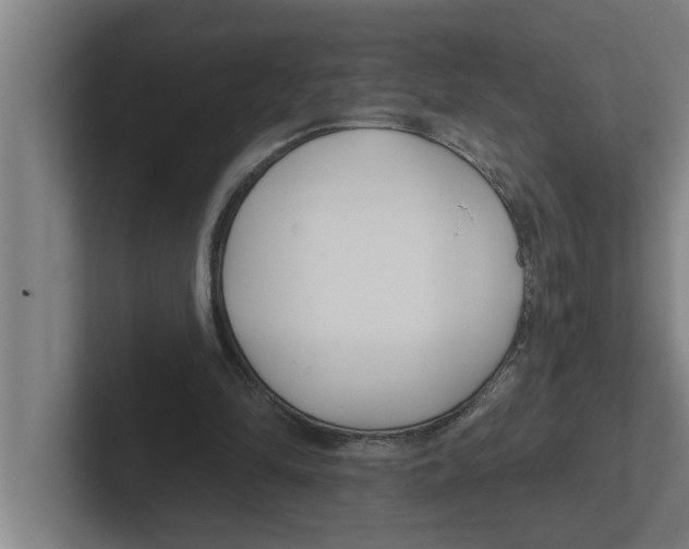 X0000102290294200808221403