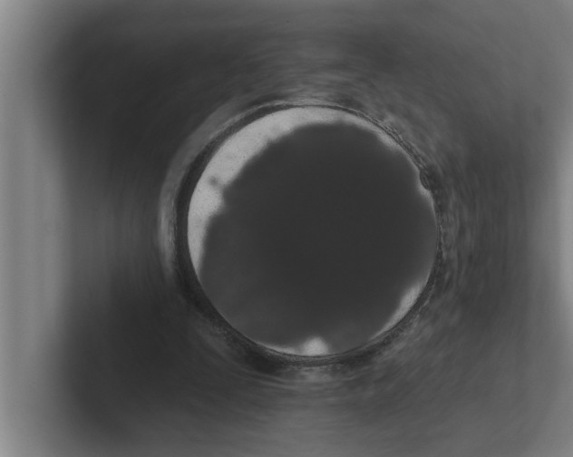 X0000102290295200808221403