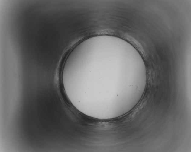 X0000102290298200808221403