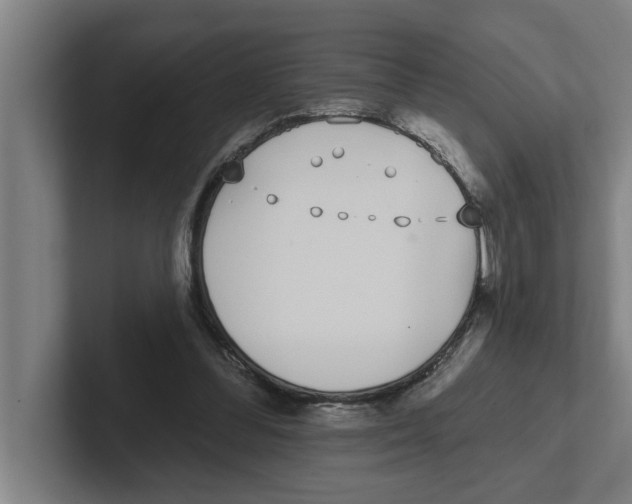 X0000102290300200808221403